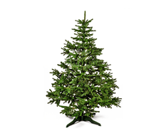 31700270995 31700270996 1w.jpg