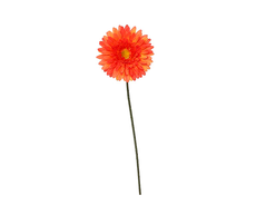 31700220528 web.jpg