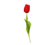 31700220519 web.jpg