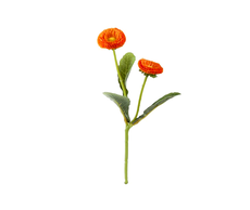 31700220041-1 web.jpg
