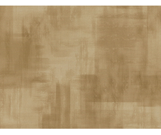 31100041123 w.jpg