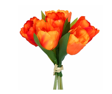 31700220525 web.jpg