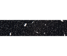 20700050583-1.png