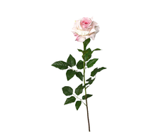 31700220521 web.jpg