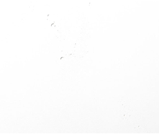 20300050257-1.png