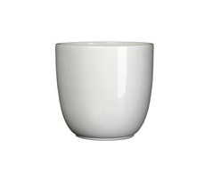 31800900155-1.jpg