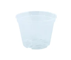 31800900280-31800900282-1_web.jpg