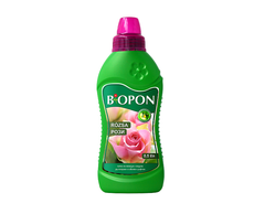 31801250019 web.jpg
