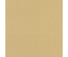 31100040810.jpg