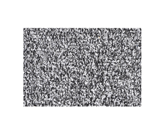 31700300081-2w.jpg