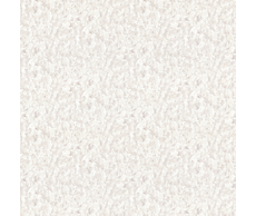 31100040739.jpg
