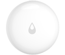 30800790061-1.png