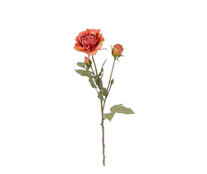 31700220522 web.jpg