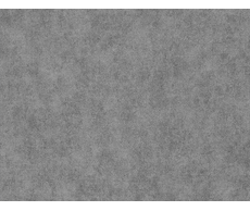 31100041106 w.jpg