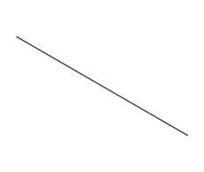 single_9949.jpg