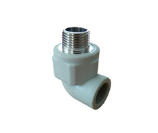 31500020285-1 web .jpg