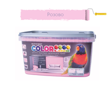 30200020508 web.png