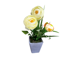 31700220079 web.jpg