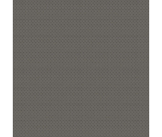 20100110006-1.jpg
