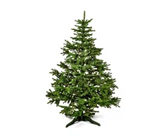 31700270995 31700270996 1w.jpg