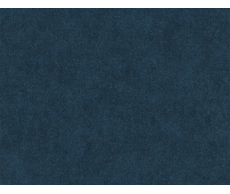 31100041105 w.jpg