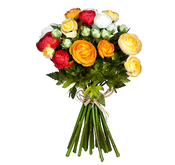 31700220407-1.jpg__390x300_q95_crop-pad_subsampling-2.png