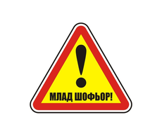 30900080095-1.jpg