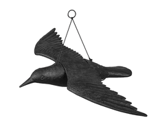31812410022 - w.jpg