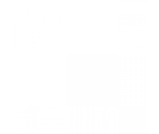 20300050245-1.png