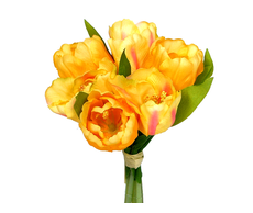31700220524 web.jpg