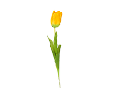 31700220513 web.jpg