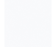 20300050203-1.png