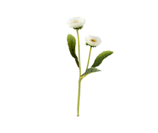 31700220149-1 web.jpg