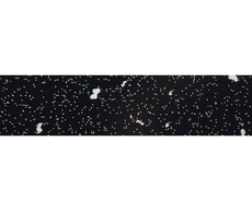 20700050316-1.jpg