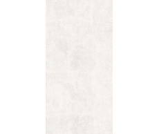 31200501171-1.jpeg