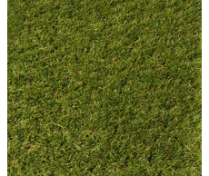 31200010287-1.jpg