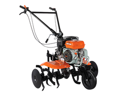 31800910345  (1)w.jpg